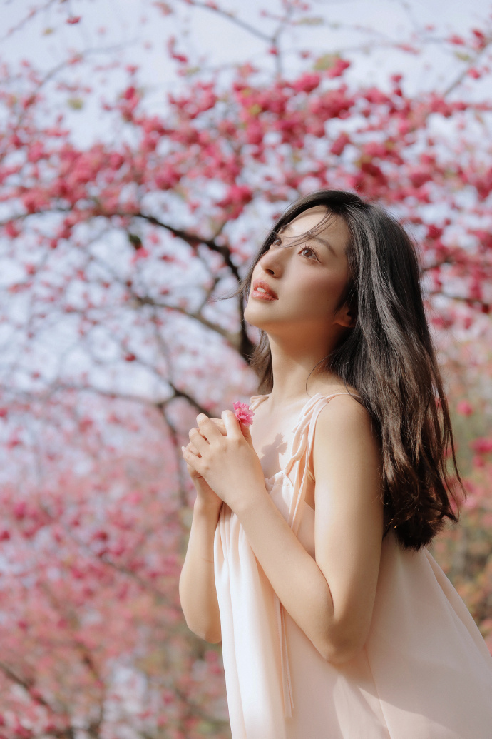 分布式纯净IP节点云端白帽监测技术详解