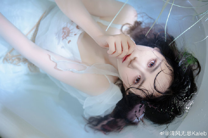 算法更新周期云端站点维稳全套运营方案