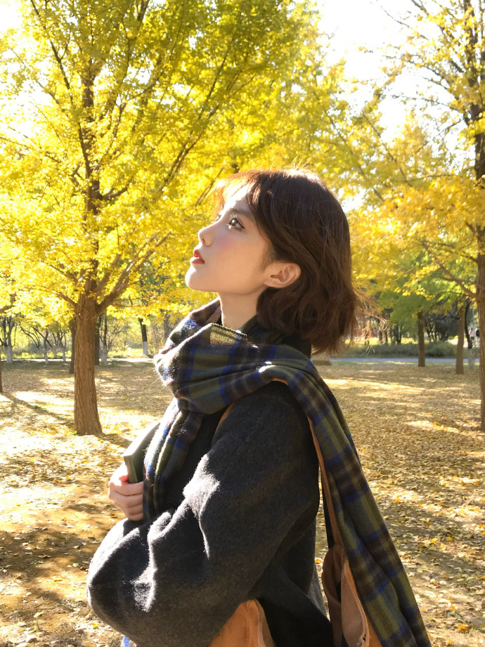 云端数据看板流量指标分层复盘分析体系